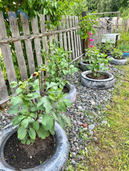 Россия, Вологодская область, Грязовецкий муниципальный округ, железнодорожная станция Туфаново, 15