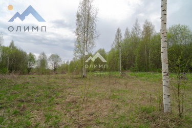 Россия, Вологодская область, Шекснинский муниципальный округ, сельское поселение Ершовское