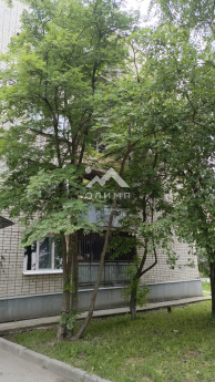 Россия, Вологда, Технический переулок, 29