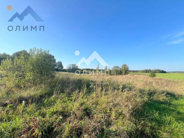 Россия, Вологодский муниципальный округ, деревня Елгино