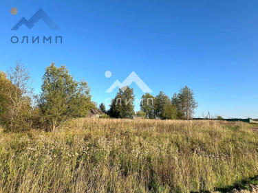 Россия, Вологодская область, Грязовецкий муниципальный округ, деревня Погорелка (сельское поселение Юровское)