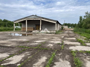 Россия, Вологодская область, Вытегорский муниципальный округ, деревня Палозеро, 3Д