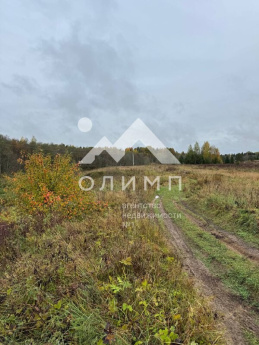 Россия, Вологодская область, Междуреченский муниципальный округ, деревня Космово