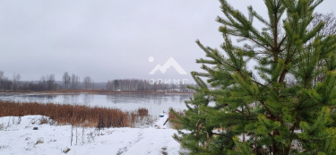 Россия, Вологодская область, Кирилловский муниципальный округ, деревня Шидьеро, 38