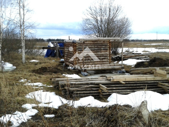 Россия, Вологодский муниципальный округ, деревня Шульгино