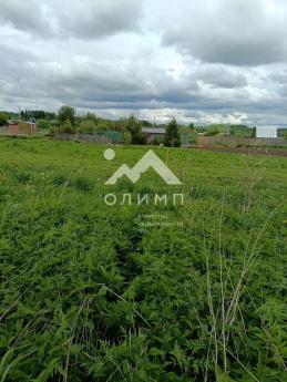 Россия, Вологодский муниципальный округ, посёлок Грибково