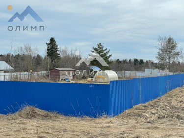 Россия, Вологодский муниципальный округ, деревня Щекино