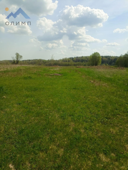 Вологодская область, Лифино 14365
