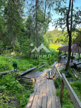 Россия, Вологодская область, Никольский муниципальный округ, село Светлый Ключ