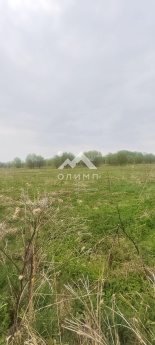 Россия, Вологодский муниципальный округ, посёлок Грибково