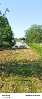 Россия, Вологодская область, Белозерский муниципальный округ, село Куность, Озёрная улица