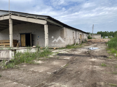 Россия, Вологодская область, Вытегорский муниципальный округ, деревня Палозеро, 3Д