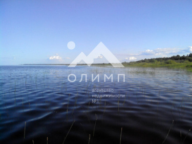 Россия, Вологодский муниципальный округ, деревня Новое (Борисовский сельсовет)