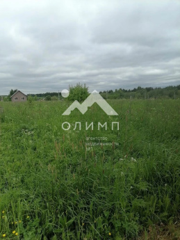 Россия, Вологодский муниципальный округ, деревня Никулино (Марковский сельсовет)