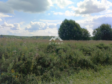 Россия, Вологодский муниципальный округ, село Погорелово