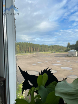 Россия, Вологодская область, Верховажский муниципальный округ, село Чушевицы, Московская улица, 15А 3454668121