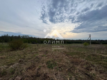 Россия, Вологодская область, Междуреченский муниципальный округ, деревня Космово