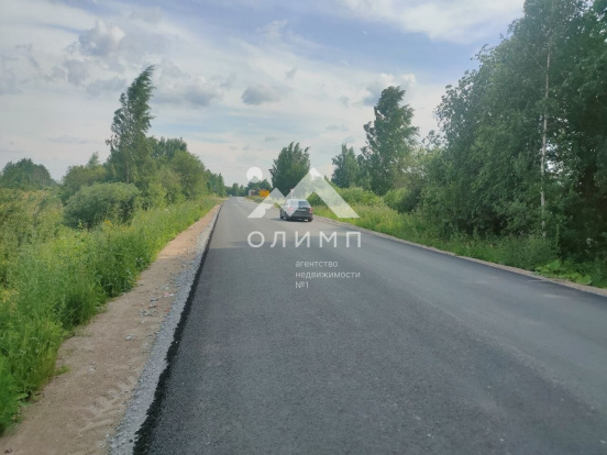 Россия, Вологодская область, Сокольский муниципальный округ, деревня Шишкино, 24