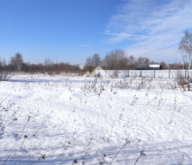 Россия, Вологодская область, Междуреченский муниципальный округ, деревня Ноземские Исады, 10