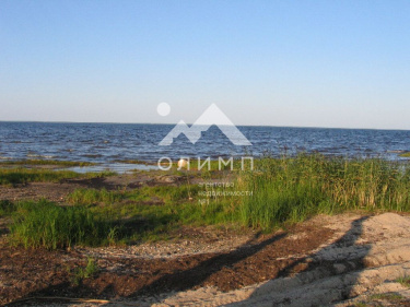 Россия, Вологодский муниципальный округ, деревня Новое (Борисовский сельсовет)