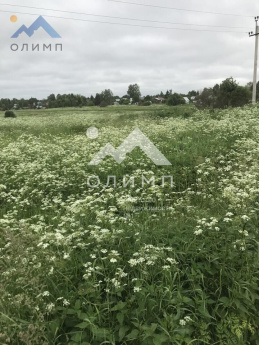 Россия, Вологодский муниципальный округ, деревня Яминово