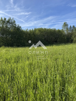 Россия, Вологодский муниципальный округ, деревня Матвеевское (Марковский сельсовет)