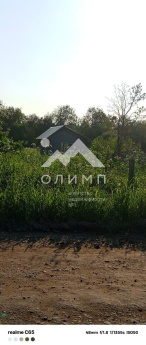 Россия, Вологодская область, Белозерский муниципальный округ, село Куность, Озёрная улица