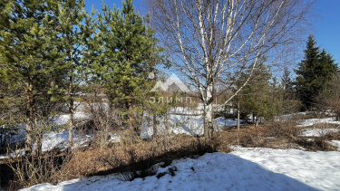 Россия, Вологодский муниципальный округ, деревня Терпелка