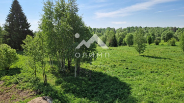 Россия, Вологодская область, Кирилловский муниципальный округ, деревня Гридинская, 2