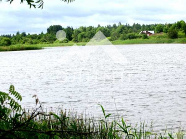 Россия, Вологодская область, Кирилловский муниципальный округ, деревня Шидьеро, 38