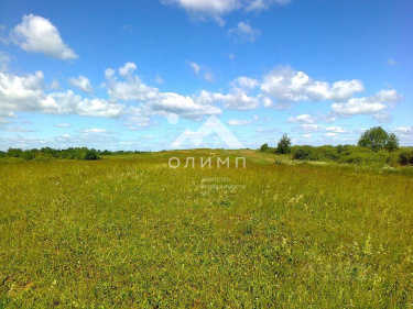 Россия, Вологодская область, Кирилловский муниципальный округ, деревня Кукманино