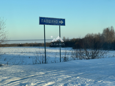 Россия, Вологодский муниципальный округ, деревня Павшино (Новленский сельсовет)