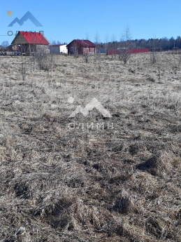 Россия, Вологодский муниципальный округ, деревня Мальгино (Подлесный сельсовет)