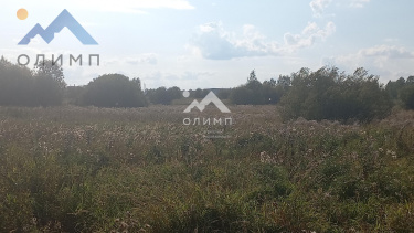 Россия, Вологодский муниципальный округ