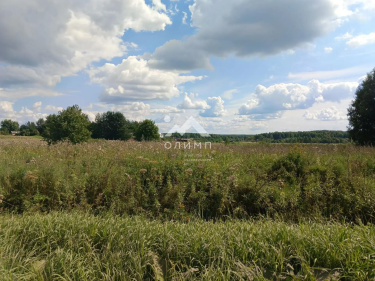 Россия, Вологодский муниципальный округ, село Погорелово