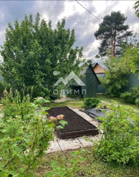 Россия, Вологодский муниципальный округ, садоводческое товарищество Сосенка