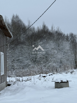 Россия, Вологодский муниципальный округ, посёлок Грибково