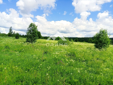 Россия, Вологодская область, Кирилловский муниципальный округ, деревня Кнышево