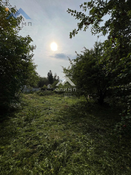 Россия, Вологодский муниципальный округ, садоводческое товарищество Лиана