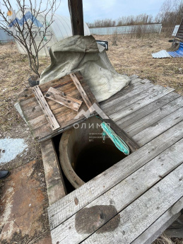 Россия, Вологодский муниципальный округ, деревня Щекино