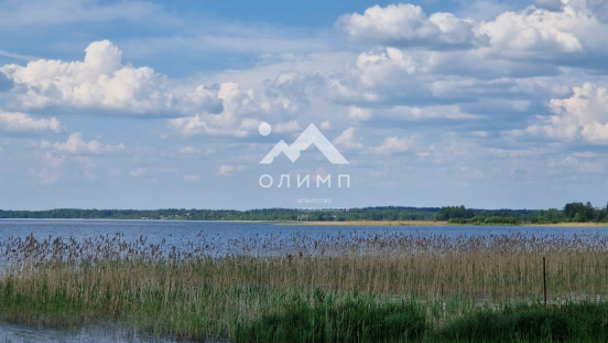 Россия, Вологодская область, Кирилловский муниципальный округ, деревня Гридинская, 2