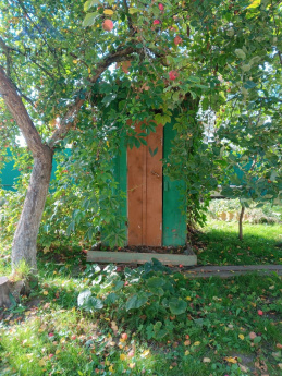 Вологодская область, село Минькино, Дачная улица, 20 10112