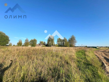 Россия, Вологодская область, Грязовецкий муниципальный округ, деревня Погорелка (сельское поселение Юровское)