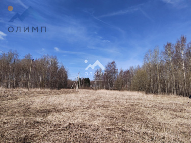 Россия, Вологодский муниципальный округ, посёлок Грибково, Янтарная улица