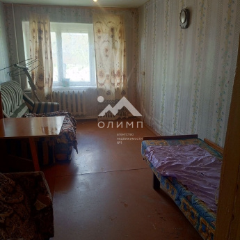 Россия, Вологодская область, Грязовецкий муниципальный округ, посёлок Бушуиха, Центральная улица, 4