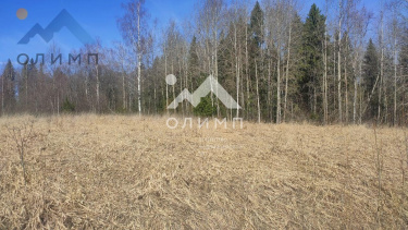 Россия, Вологодский муниципальный округ, село Погорелово