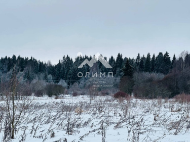 Россия, Вологодский муниципальный округ, деревня Дюково