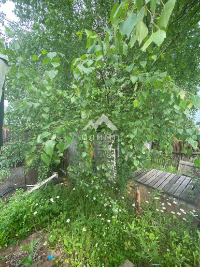 Россия, Вологодский муниципальный округ, СНТ Колос, 9