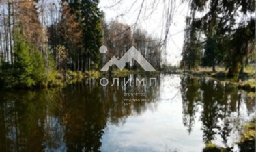 Россия, Вологодская область, Сокольский муниципальный округ, деревня Марковское, 1