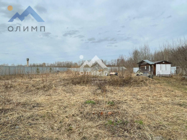 Россия, Вологодский муниципальный округ, деревня Щекино